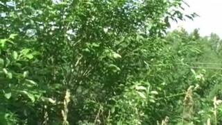 Молодой гей трахается с лучшим другом на природе в позе раком